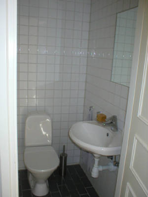 toilet.jpg